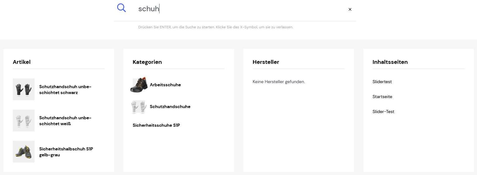 Erweiterte Suche im Shop-Frontend