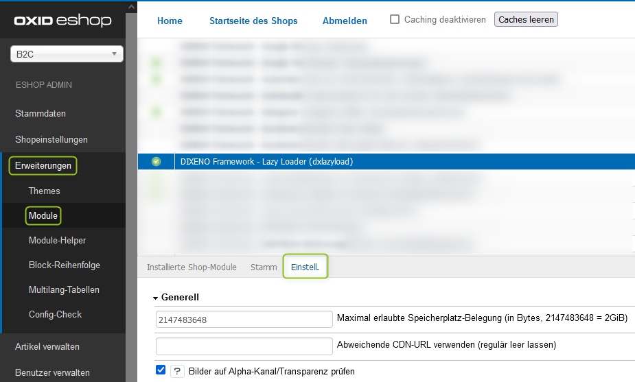 Überblick über das Lazy Loader-Modul
