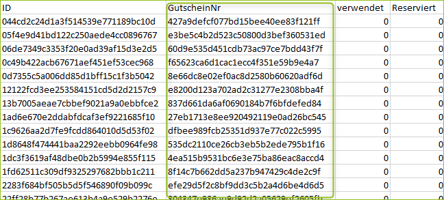 Gutscheincodes in der CSV-Datei