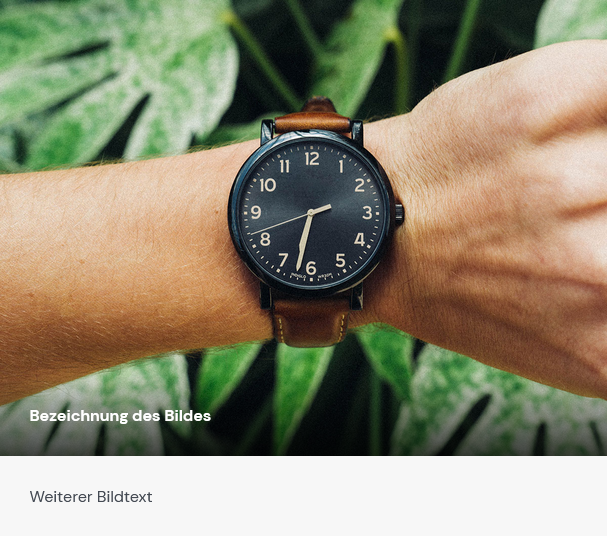Widget Bild Ergebnis
