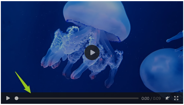 Widget Video Steuererlemente